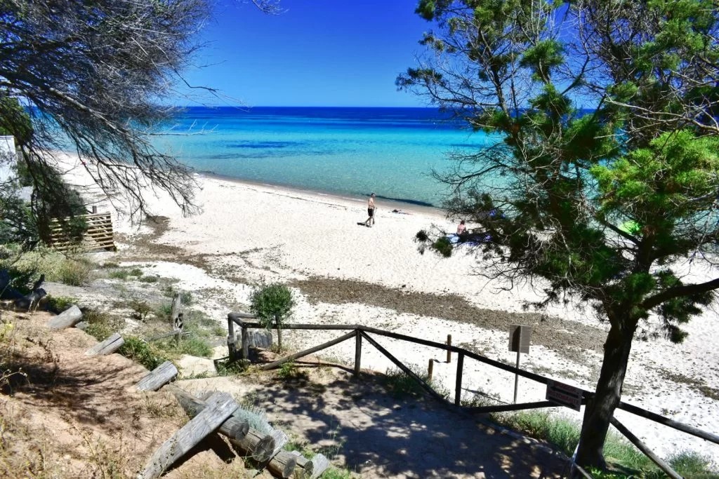 La Pineta