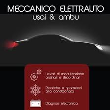 Usai e Ambu elettrauto